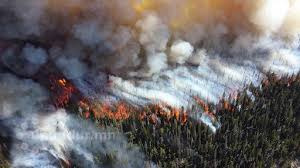 Grassfires fully extinguished in Zavkhan and Khentii provinces